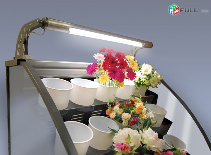 Sarnara vitrina caxiki Холодильное оборудование для цветов Սառնարաններ նախատեսված ծաղիկների