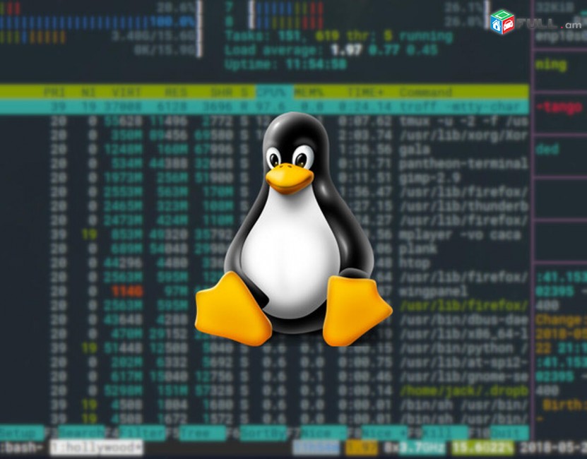 Linux-ի դասընթացներ NDG Linux 1,NDG Linux 2.