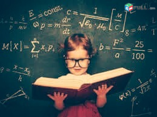 Մաթեմատիկա, հայոց լեզու-գրականություն, ֆիզիկա, քիմիա առարկաների պարապմունքներ
