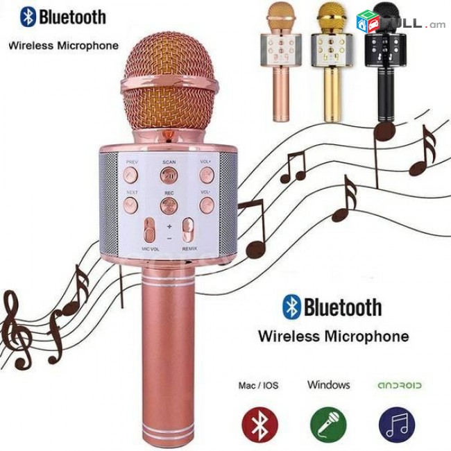 Անլար միկրոֆոն-բարձրախոս WS-858,  ws 858 microphone karaoke, mikrafon karaoke,կառաոկե, mikrafon, microphone, kid mocrophone