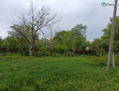 H0953 Շահավետ հողատարածքի առաջարկ Օշականում