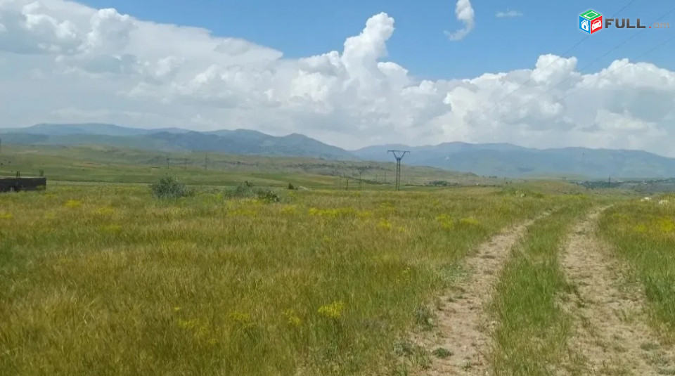 Տնամերձ հողատարածք