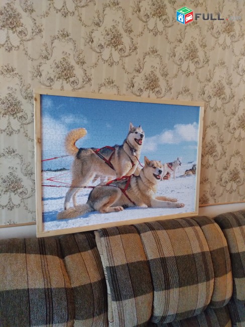 Նկար "Շները հյուսիսում"