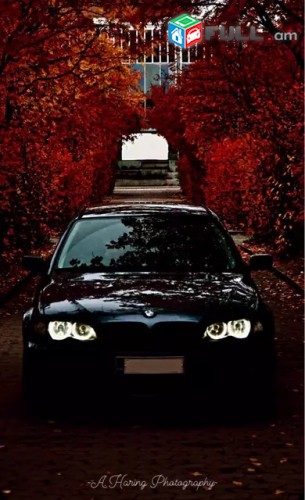 Bmw e46 angel eyes wallpaper by norbi197 - Download on ZEDGE™