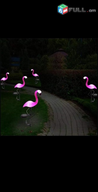 Arevayin luys flamingo dekorativ luys արևային
