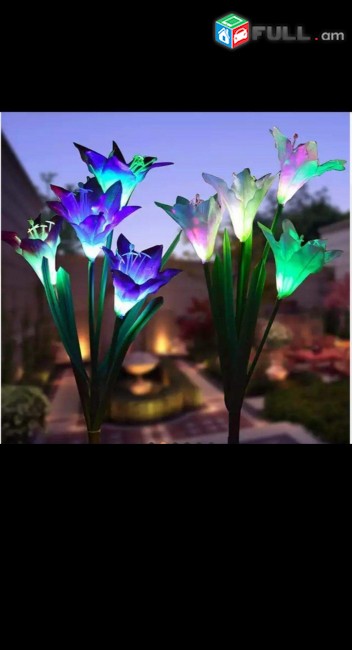 Arevayin luys dekorativ caxikner արևային լույս դեկորատիվ ծաղիկներ