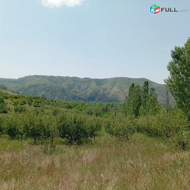 Հողատարածք Գառնիում, ընտիր տեղ