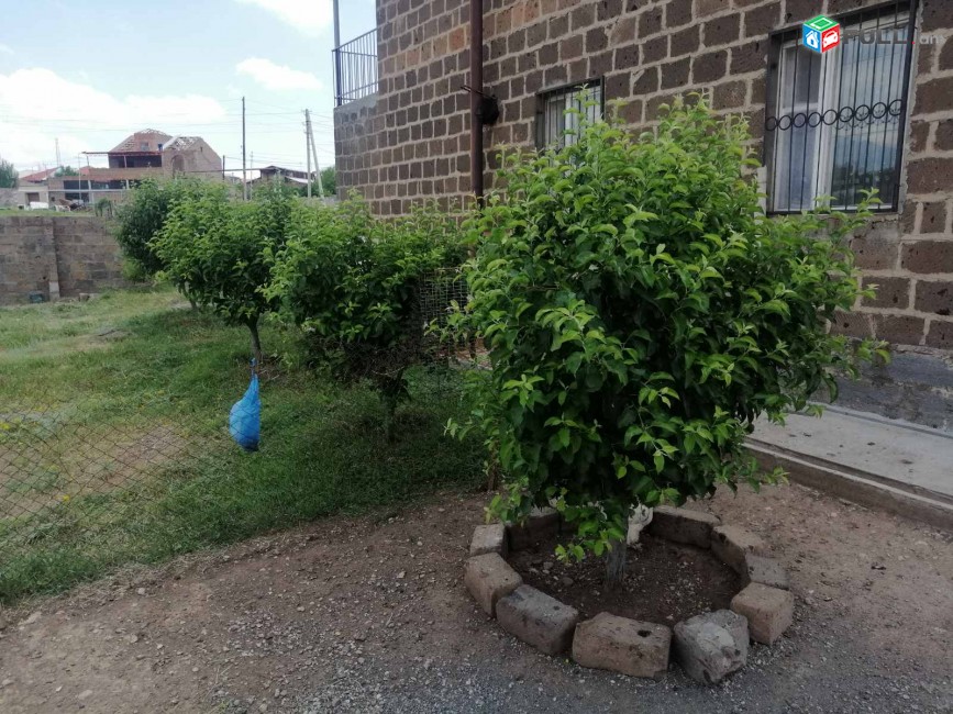 Աշտարակ, գյուղ Մուղնի