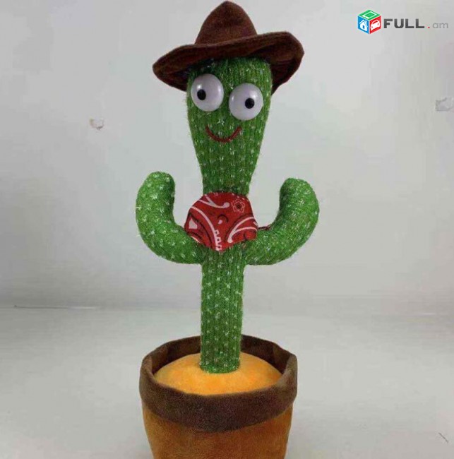 Պարող կակտուս մեծածախ վաճառք ergix parox kaktus mexcacax vacharq