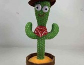 Պարող կակտուս մեծածախ վաճառք ergix parox kaktus mexcacax vacharq