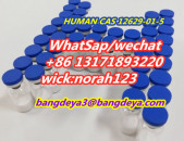 high quality  human hgh  cas 12629-01-5  with low price (wick :norah123)
