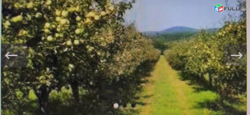 3.5հա Կարբիյում խնձորի սառնարաներին կից 1700 խնձորի ծառ, 600քմ շինություն, ևս 500 քմ, որը հարմար է անասնապահության