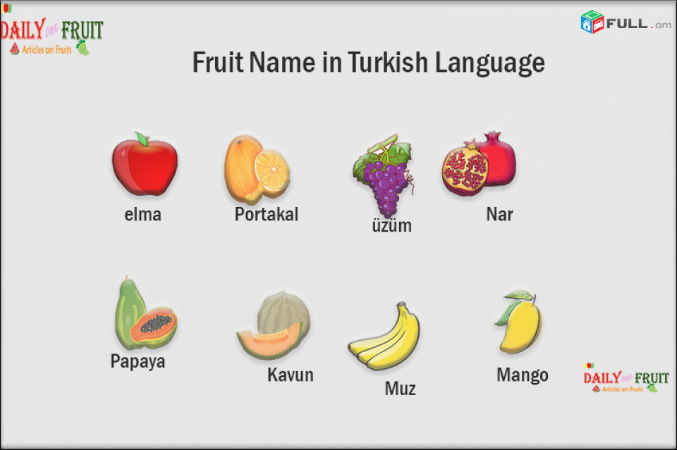 Թուրքերեն լեզվի դասեր դասընթացներ / Turqeren lezvi daser dasyntacner