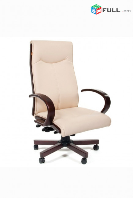 Օֆիսային աթոռ, գրասենյակային աթոռ, աթոռներ, համակարգչի աթոռ, ղեկավարի աթոռ, H33