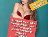 Handipum mersum