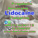 Lidocaine Tianeptine pregabalin raw Powder 137-58-6 Best Price