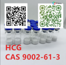 High quality cas  9002-61-3 HCG  in stock 