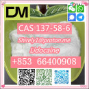 CAS 137-58-6 Lidocaine high quality good price hot sale stock