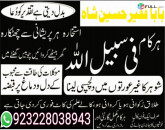 specialist for, manpasand shadi, pasand ki shadi, istikhara, ishq main nakami, muhabbat main kamyabi, kala jadu, rohani ilaj, muhabbat main nakami, jaidad ka masla, love marriage problems, shadi ka