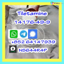 High Purity Tiletamine CAS 14176-49-9 powder,whatsapp:+852 64147939