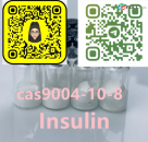 9004-10-8 Insulin