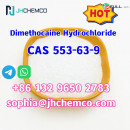 Factory supply Dimethocaine Hydrochloride CAS 553-63-9 with best price