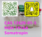 High quality cas 12629-01-5 HGH 191AA(Somatropin on sale 