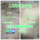 CAS 137-58-6 Lidocaine high quality good price