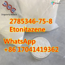 2785346-75-8 Etonitazene	instock with hot sell	y3