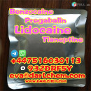 99% Lidocaine Powder CAS 137-58-6 Factory  Lidocaine powder