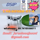 High quality cas  62568-57-4 DSIP   in stock  free sample