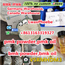 5449-12-7 BMK powder bmk glycidate in Holland telegram:LwaxPhoebe