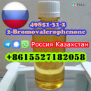 Прямые поставки с завода 2-бромвалерофенон CAS 49851-31-2