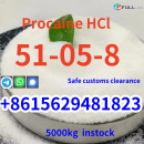 High quality cas 51-05-8 procaine Hcl in stock