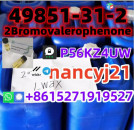 49851-31-2 2Bromovalerophenone 2-BROMO-1-PHENYL-PENTAN-1-ONE