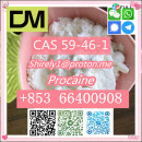 CAS 59-46-1 Procaine with high quality hot sale stock 