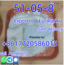 procaine powder Supply Procaine Hydrochloride / Procaine HCl Supplier CAS 51-05-8 for Local Anesthetic