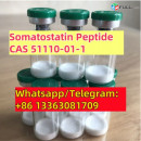 Somatostatin (SST) Peptide CAS 51110-01-1