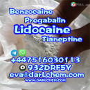 99% Lidocaine Powder CAS 137-58-6 Factory  Lidocaine powder