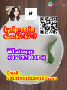 Lysipressin CAS:50-57-7