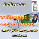 High quality cas  Follistatin  in stock free sample