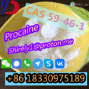 CAS 59-46-1 Procaine with high quality