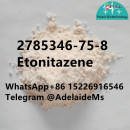 2785346-75-8 Etonitazene	best price	i3