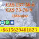 CAS 137-58-6 Lidocaine Factory Supplied High Purity Safe Delivery