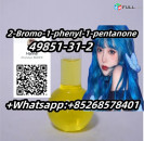 quality assurance 49851-31-2 2-Bromo-1-phenyl-1-pentanone