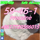 PROCAINE SUPPLIERS IN CHINA WITH CAS 59-46-1
