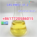 Top Quality cas 49851-31-2 2-Bromo-1-Phenyl-Pentan