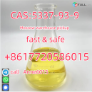 China Factory Supply CAS 5337-93-9 4-Methylpropiophenone Professional Supplier