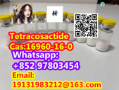 Tetracosactide CAS:16960-16-0