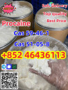Factory Supply 99% Pure Procaine Procaina Base Powder CAS 59-46-1 Procaine      Add +852 46436113